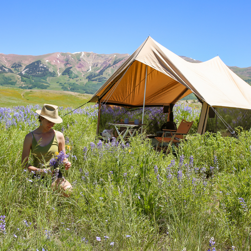 Rover Scout Tent 8' x 13'