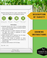 Microgreens 10 Variety Seed Kit