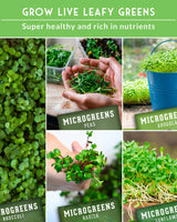 Microgreens 10 Variety Seed Kit
