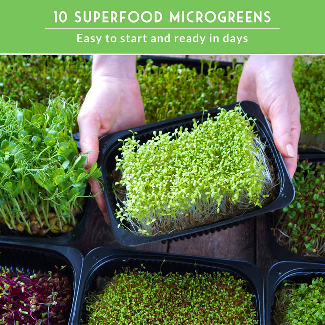 Microgreens 10 Variety Seed Kit
