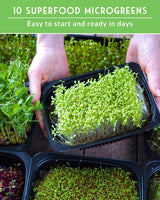 Microgreens 10 Variety Seed Kit
