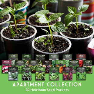 Apartment Kit Seed Vault - 20 Container Friendly Varieties