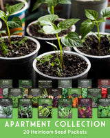 Apartment Kit Seed Vault - 20 Container Friendly Varieties