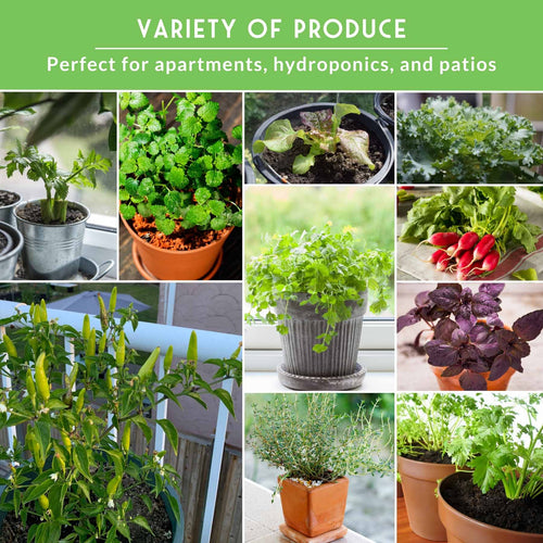 Apartment Kit Seed Vault - 20 Container Friendly Varieties