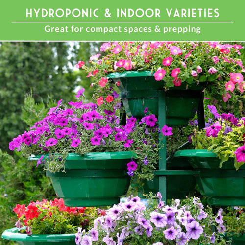 Apartment Kit Seed Vault - 20 Container Friendly Varieties