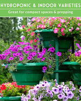 Apartment Kit Seed Vault - 20 Container Friendly Varieties