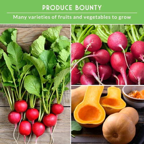 Vegetable Garden Collection - 15 Packs of Vegetable Seeds