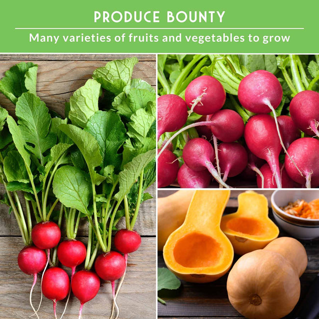 Vegetable Garden Collection - 15 Packs of Vegetable Seeds