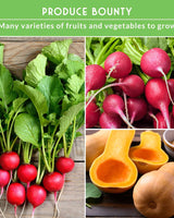 Vegetable Garden Collection - 15 Packs of Vegetable Seeds