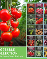 Vegetable Garden Collection - 15 Packs of Vegetable Seeds