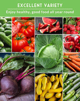 Vegetable Garden Collection - 15 Packs of Vegetable Seeds