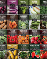 Starter Kit Seed Vault - 20 Delicious Varieties of Vegetables