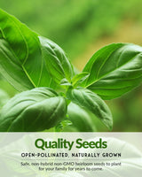 Starter Kit Seed Vault - 20 Delicious Varieties of Vegetables