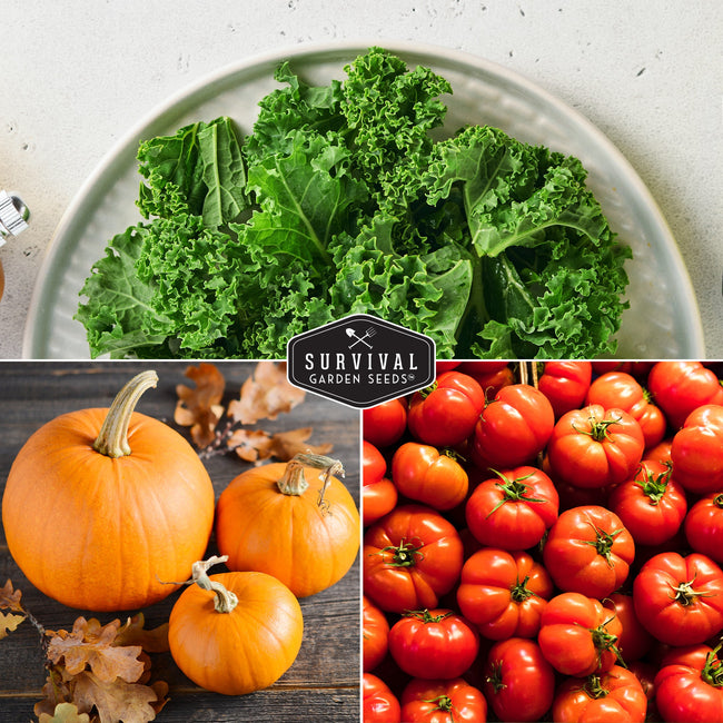 Starter Kit Seed Vault - 20 Delicious Varieties of Vegetables