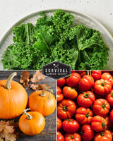 Starter Kit Seed Vault - 20 Delicious Varieties of Vegetables