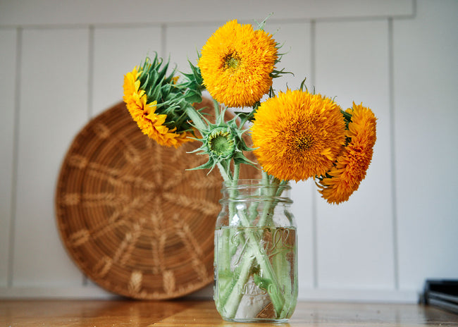 Freshly Cut Blooms - Seed Collection