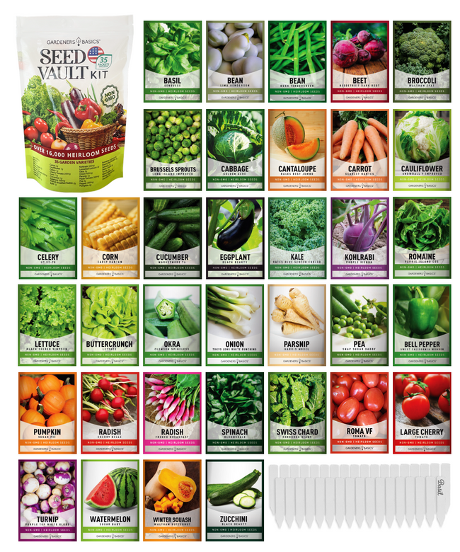 Vegetable Seed Vault Kit | 35 Variety Pack