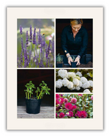 The Money-Saving Gardener (Spiral Bound)