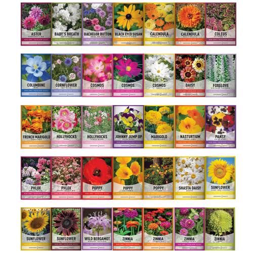 annual flower seed identification Wildflower, Perennial, & Annual Flower Seed Kit