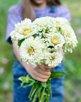 Freshly Cut Blooms - Seed Collection