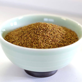 Rainy Day Foods Alfalfa Seed - 25 lb. Bag