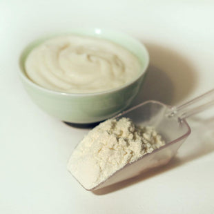 Rainy Day Foods Alfredo Sauce Mix 16 oz. #2.5 Can - 11 Servings