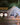 16' x 20' Alpha Wall Tent