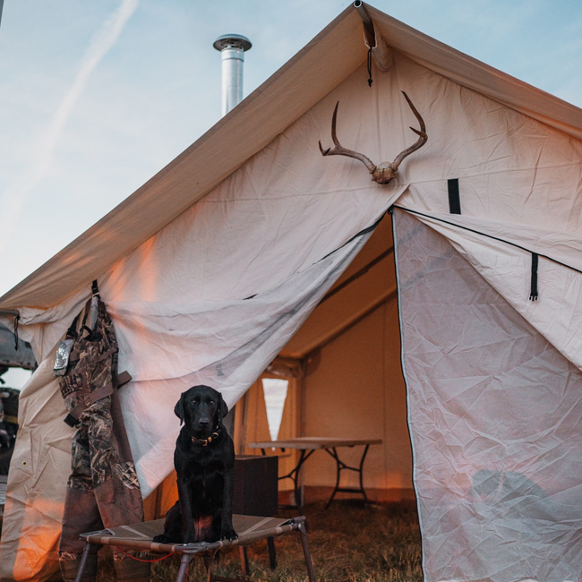 10' x 12' Alpha Wall Tent