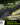 The Wakizashi Survival Neck Knife Giftset for Outdoors (Black Blade + Green Liner)