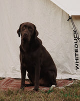 16.5' Avalon Bell Tent