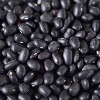 Rainy Day Foods Black Turtle Beans 25 lb. Bag - 123 Servings