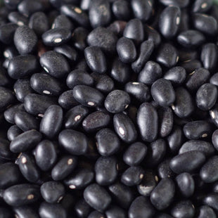 Rainy Day Foods Black Turtle Beans 5 Gallon 35 lb. Super Pail - 172 Servings