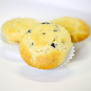 Rainy Day Foods Blueberry Muffin Mix 5 lb. Mylar Bag - 61 Servings