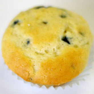 Rainy Day Foods Blueberry Muffin Mix 5 lb. Mylar Bag - 61 Servings