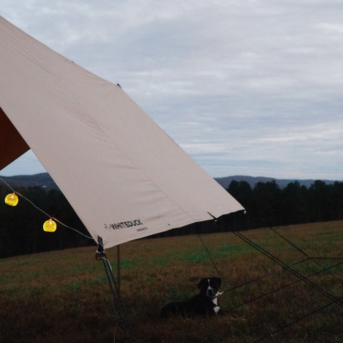 Sunshade tarp