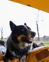 Sunshade tarp