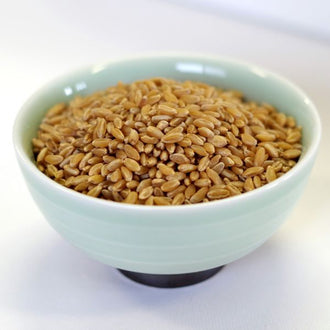 Rainy Day Foods - Durum Wheat - 35 lb. 5 gal SP