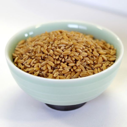 Rainy Day Foods - Durum Wheat - 35 lb. 5 gal SP