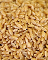 Rainy Day Foods - Durum Wheat - 35 lb. 5 gal SP
