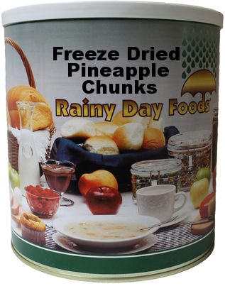 Rainy Day Foods - Freeze Dried Pineapple Chunks 3.4 oz. #2.5 can
