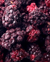 Rainy Day Foods - Freeze Dried Whole Blackberries #10 can - 6 Pack