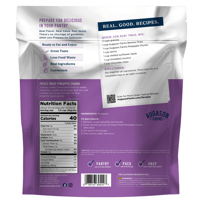 Freeze Dried Pineapple Pieces Family Size Pouch, 20 Servings