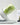 The Sprouter + The Sprout Book Bundle