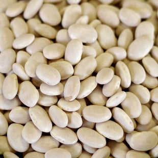 Rainy Day Foods Great Northern Beans 5 Gallon 35 lb. Super Pail - 172 Servings
