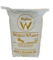 Rainy Day Foods Hard White Wheat Natural Paper 50 lb. Bag - 228 Servings