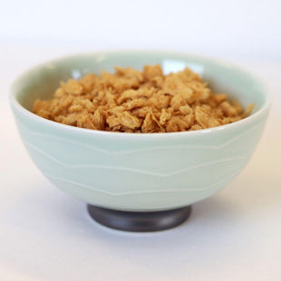 Rainy Day Foods Imitation Chicken Flavored Bits TVP (Textured Vegetable Protein) 5 Gallon 16 lb. Super Pail - 256 Servings
