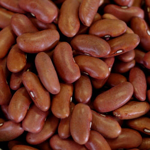 Rainy Day Foods Kidney Beans 50 lb. Bag - 247 Servings