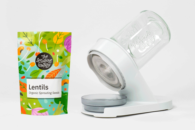 Starter Bundle: Lentils 1lb