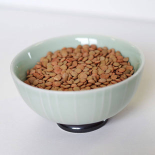 Rainy Day Foods Lentils 50 lb. Bag - 236 Servings