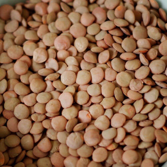 Rainy Day Foods Lentils 50 lb. Bag - 236 Servings